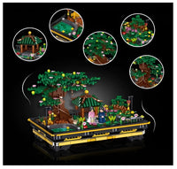 Zhe Gao Mini Bonsai National Sophora (00903)