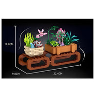 Zhe Gao Mini Bonsai Succulents (00901)