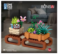 Zhe Gao Mini Bonsai Succulents (00901)