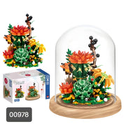 Zhe Gao Cactus with Dust Cover (00978)