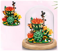 Zhe Gao Cactus with Dust Cover (00978)