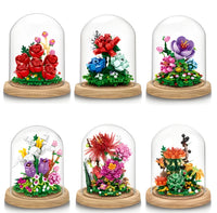 Zhe Gao Building Block Eternal Flower Series, Multi Color Rose with Dust Cover, Mini Block, 522 Pcs, (00974)