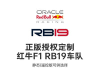 RASTAR 92410 Red Bull F1 RB19 Building Blocks Toy Set